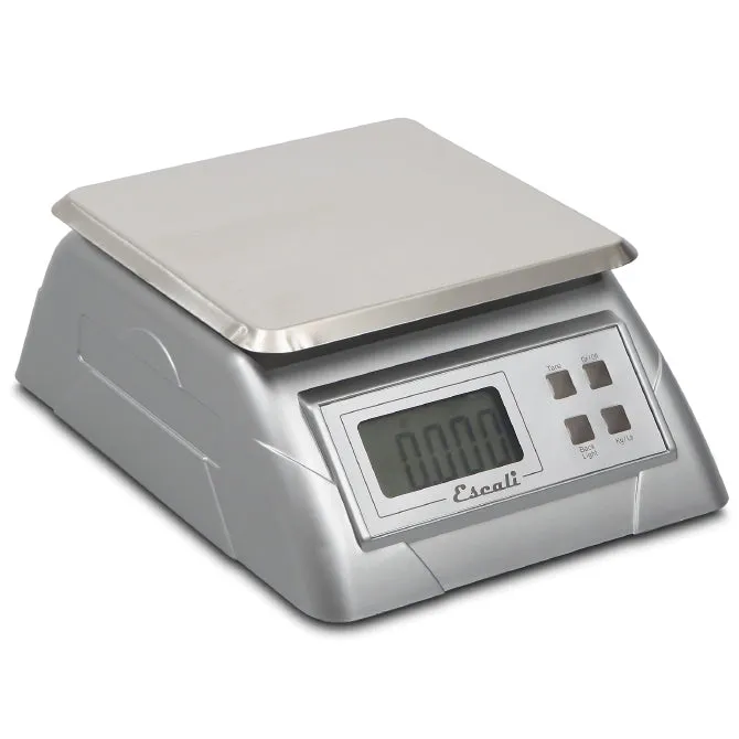 13 Lb Electronic Scale