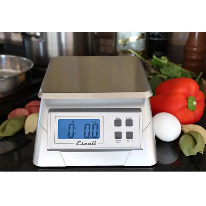13 Lb Electronic Scale