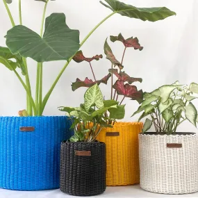 Bin / Pot (Assorted)