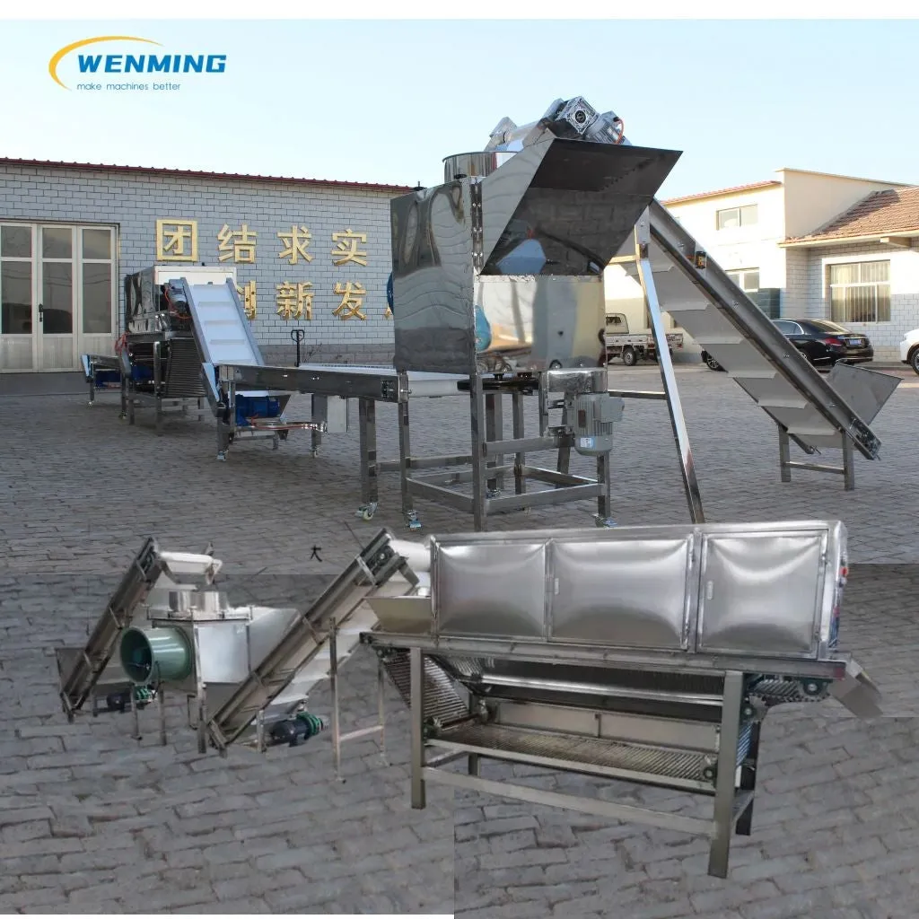 Commercial Garlic Peeler Machine Automatic Line