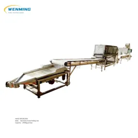 Commercial Garlic Peeler Machine Automatic Line
