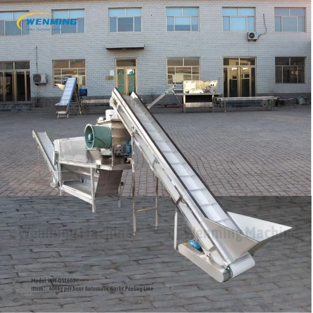 Commercial Garlic Peeler Machine Automatic Line