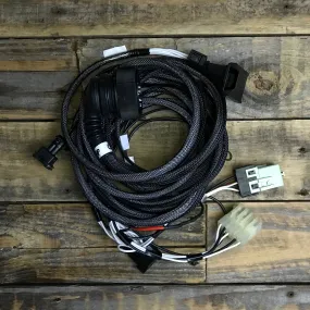 E34 M62, M62TU, S62 Swap Wiring Harness Adapter