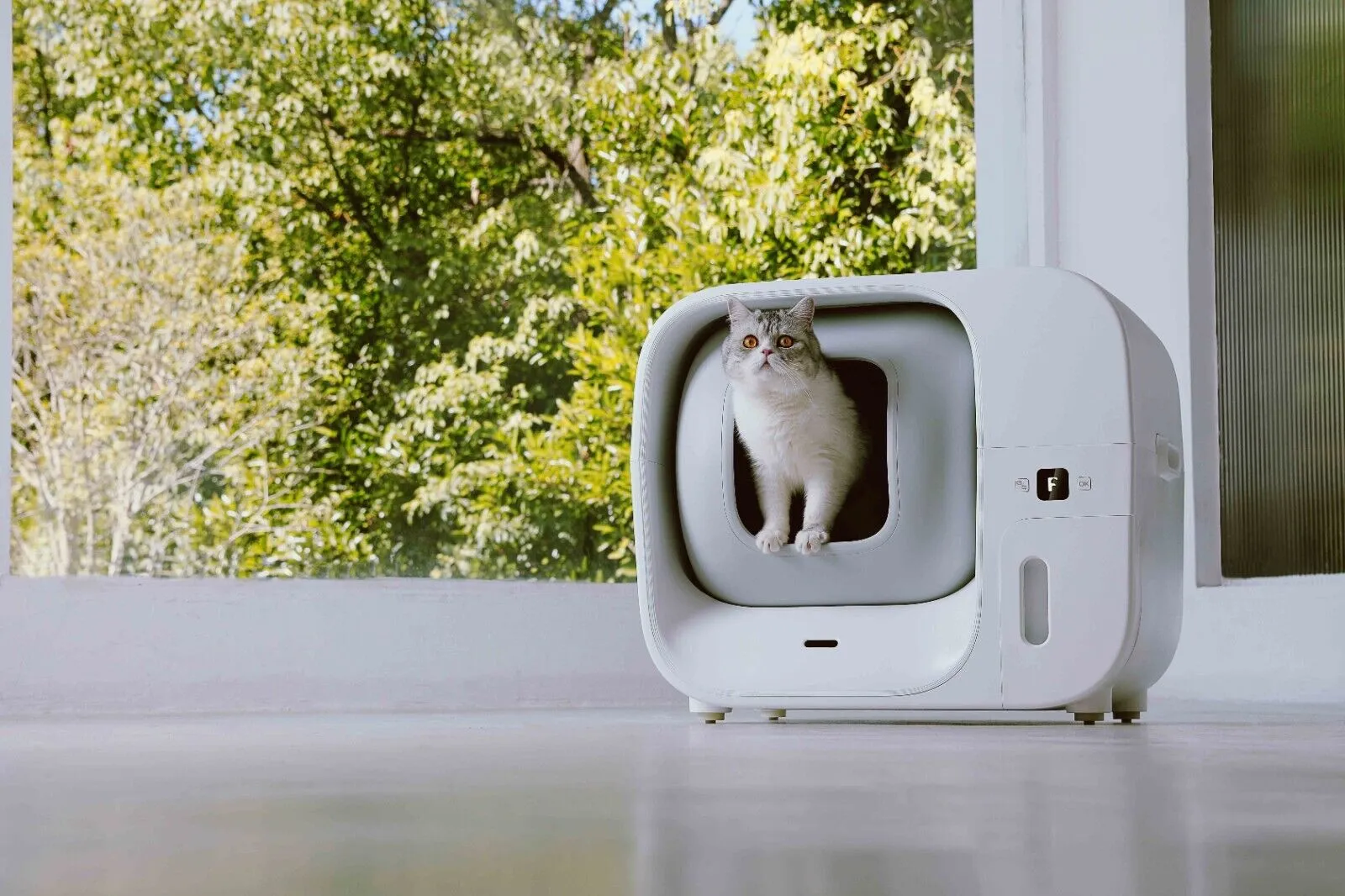 Furbulous Smart Cat Litter Box Automatic Self-Cleaning With App Remote Control