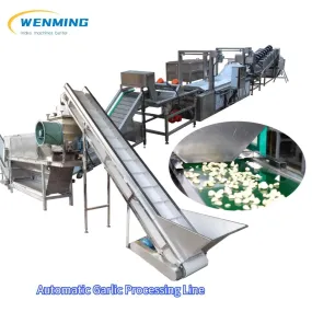 Garlic Peeling Machine line Industrial Garlic Peeling Production Line 2000kg