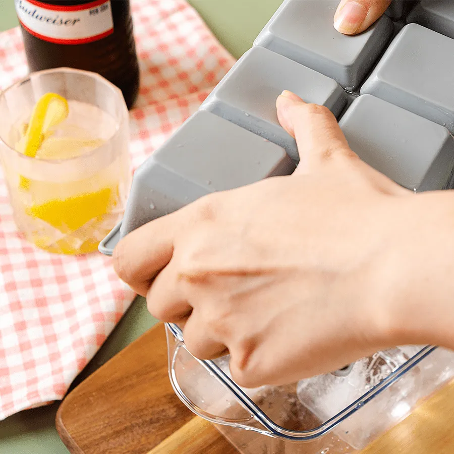 Glaceo Large Ice Cube Mould