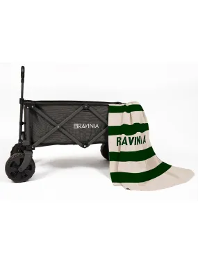 Green Multi-Stripe Ravinia Knit Blanket
