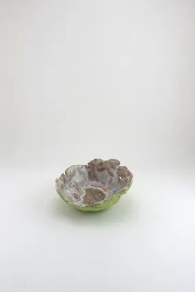 Iceland Flower, Northern Lights - Mini