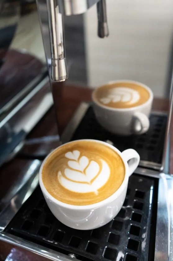 La Marzocco Wally Milk *PRE-ORDER*