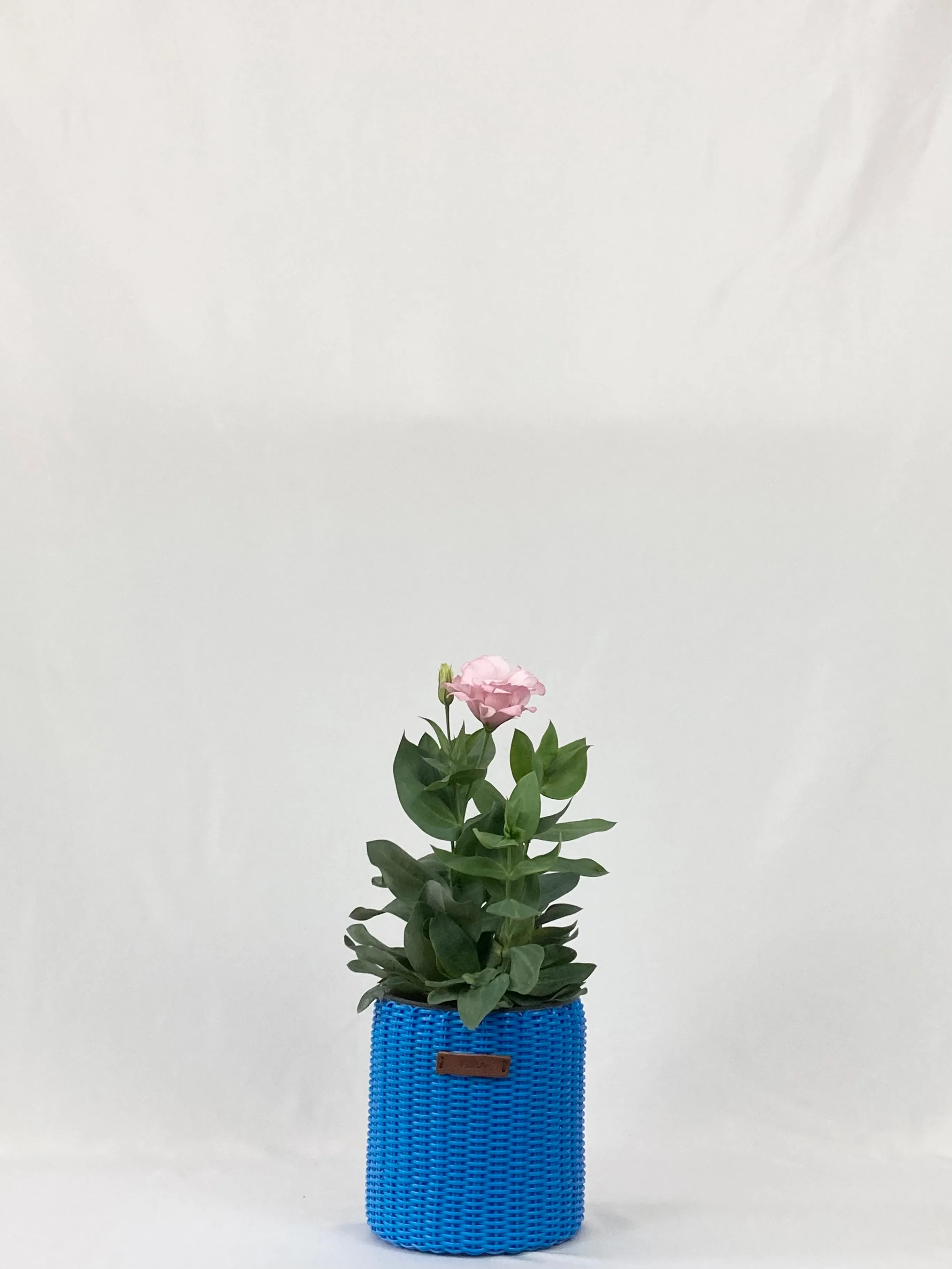 Mini Bins / Pots (Assorted)