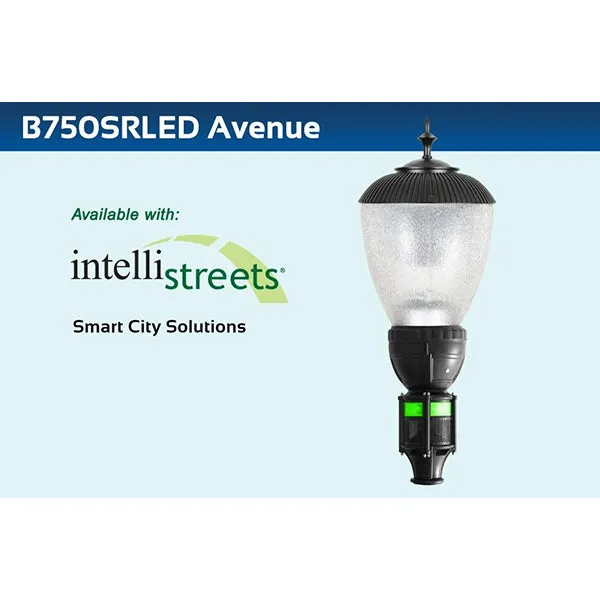 Sternberg Lighting B750SRLED Avenue
