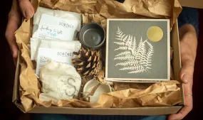 WOODLAND BOX
